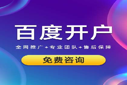 竞价SEM案例解析：电商行业营销策略